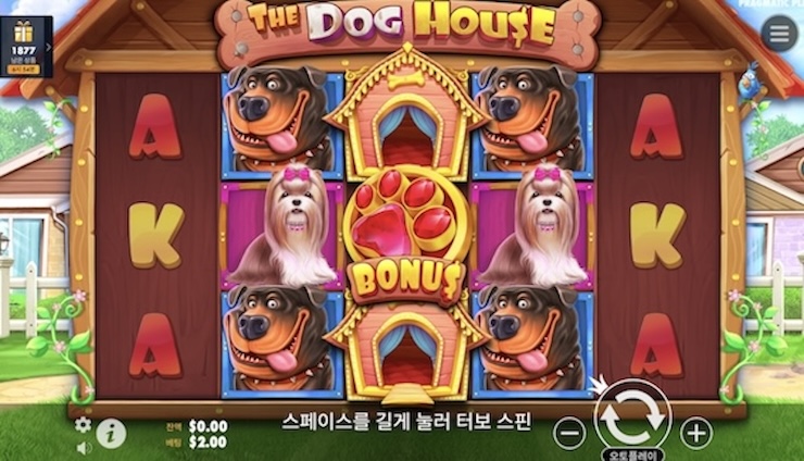 더 도그 하우스 온라인 슬롯 게임 