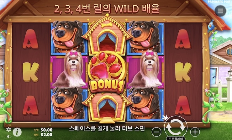 프라그마틱 슬롯 게임 The Dog House – 3릴 보너스, 와일드 배수 기능, 고화질 그래픽의 온라인 카지노 슬롯 화면