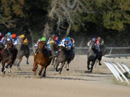 한국마사회와 부산경찰청이 온라인 불법경마 확산을 막기 위한 업무협약을 체결하고 공동 대응에 나섰다