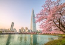 사행산업의 매출이 증가된 한국