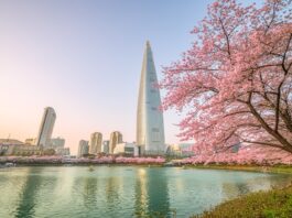 사행산업의 매출이 증가된 한국