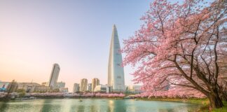 사행산업의 매출이 증가된 한국