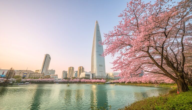 사행산업의 매출이 증가된 한국