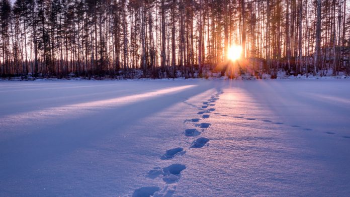 Copyright : mps197 / 123RF Stock Photo