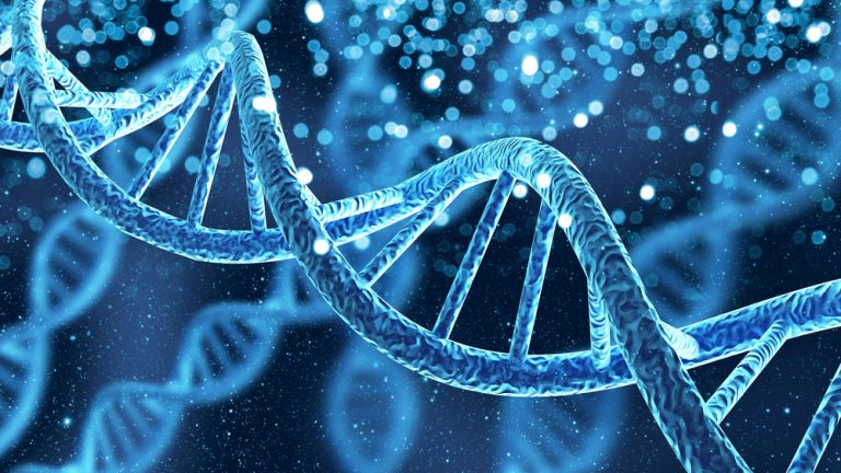 Andrew Jones: Bad Hombre DNA will always grab attention