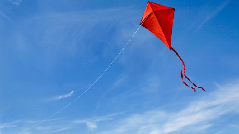 Soar