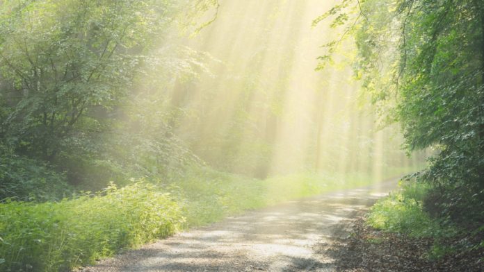 Pathway