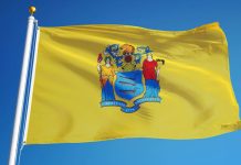 New Jersey flag