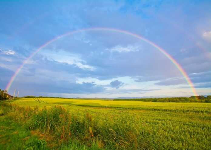 Rainbow-Riches-Jackpot-Light-And-Wonder A Rainbow Over a Field