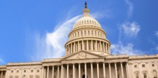 Federal batting tax repeal