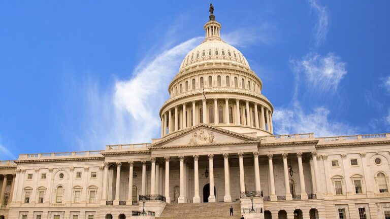 Federal batting tax repeal