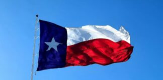 Texas Flag