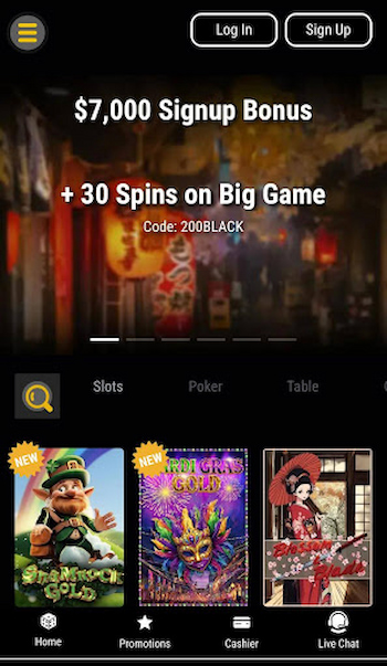 Black Lotus Top Safe Casino for Payments