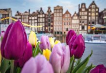 Dutch Regulator Hands Online Operator Techno Offshore $1.4M Fine