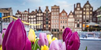 Dutch Regulator Hands Online Operator Techno Offshore $1.4M Fine