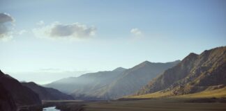 Russia’s Altai Palace Casino Revenues Rose by Over 17% in 2024
