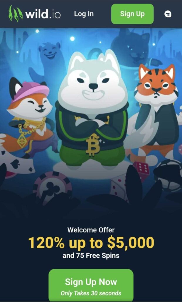 wild - no id betting site