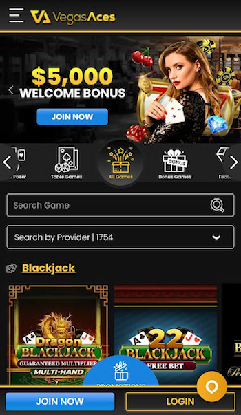 VegasAces Safe Casino for Game Fairness