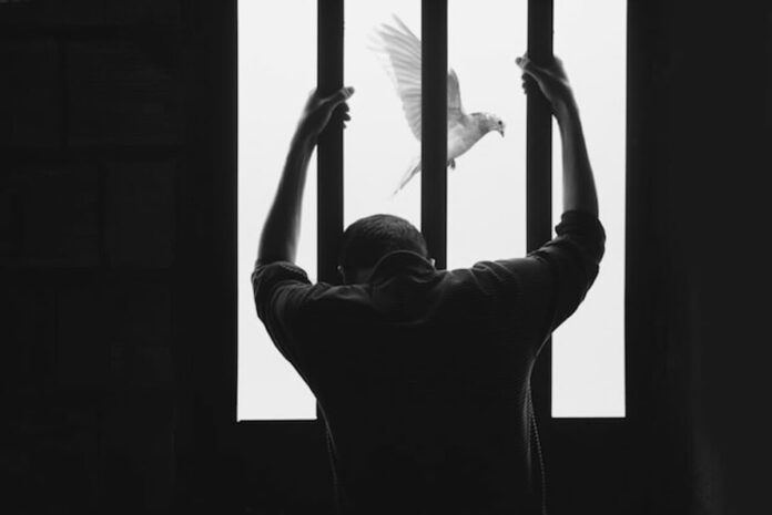 hasan-almasi-aIRBGPafi74-unsplash(2)