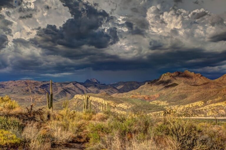 Arizona Issues Cease-and-Desist Orders Against Six Unlicensed Gambling Companies