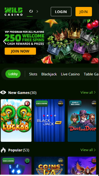 Wild Casino - top online casinos to play craps online in the US