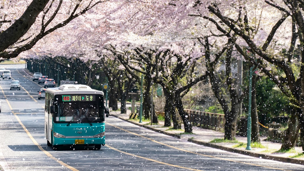 Jeju, South Korea.