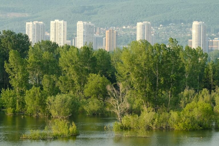 Security Forces in Three Russian Cities Shut Down ‘Network of Underground Casinos’