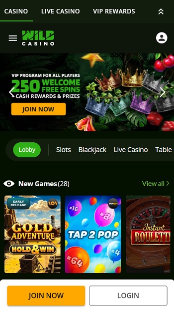 Wild Casino That Accepts Cash App