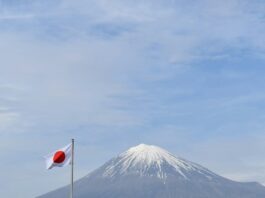 Japanese Parliament Approves Tougher Policing Measures for Illegal Online Casinos