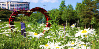 South Korean Casino-Resort Operator Kangwon Land Launches Summer Flower Festival