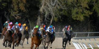 South Korean Horse Racing Regulator, Busan Police to Launch Illegal Betting Crackdown