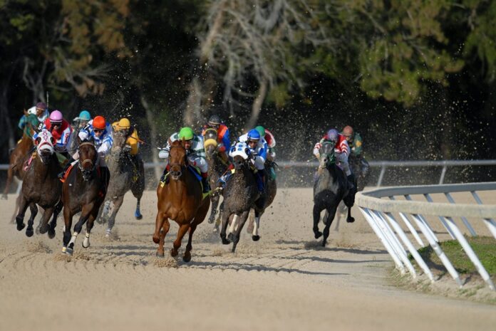 South Korean Horse Racing Regulator, Busan Police to Launch Illegal Betting Crackdown