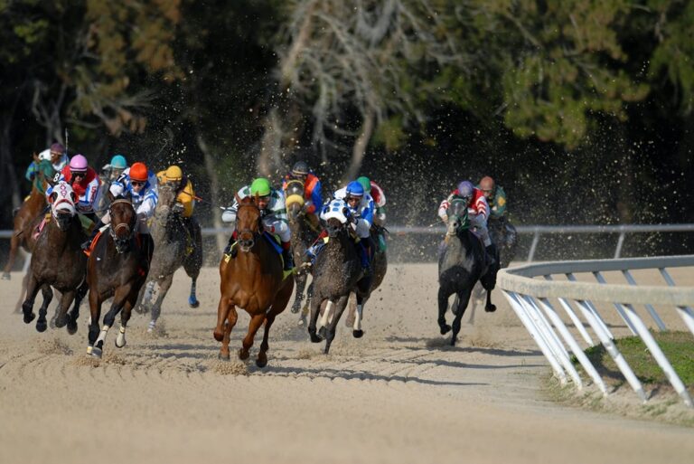 South Korean Horse Racing Regulator, Busan Police to Launch Illegal Betting Crackdown