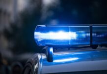 South Korean Police Shut Down $18.2M Gambling Portal That ‘Targeted Teenagers’