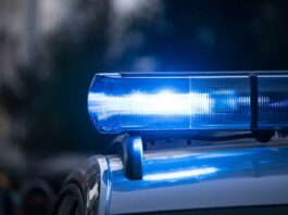 South Korean Police Shut Down $18.2M Gambling Portal That ‘Targeted Teenagers’