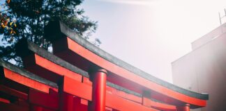 Tokyo Asks Overseas Gov’ts to Shut Down Casino Sites That Target Japanese Gamblers