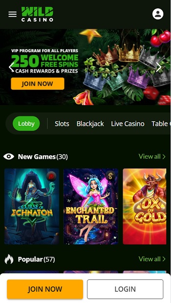 Wild Casino Instant Withdrawals