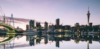a landscape of auckland new zealand