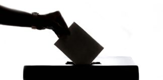 a shadowed hand placing a ballot in a voting box