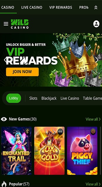 wild casino florida online casinos