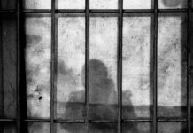 Black and white photo of a shadow behind bars.