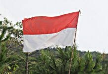 Indonesian flag
