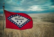 Arkansas flag
